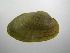  ( - MpenChi007)  @11 [ ] Unspecified (default): All Rights Reserved  Unspecified Unspecified