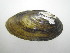  ( - EpulFli009)  @11 [ ] Unspecified (default): All Rights Reserved  Unspecified Unspecified