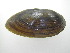 ( - EpulFli010)  @11 [ ] Unspecified (default): All Rights Reserved  Unspecified Unspecified