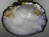  ( - ApliEsc011)  @11 [ ] Unspecified (default): All Rights Reserved  Unspecified Unspecified