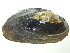  ( - EpurOch010)  @11 [ ] CreativeCommons - Attribution Non-Commercial No Derivatives (2014) Nathan A. Johnson USGS