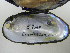  ( - EpurOch011)  @11 [ ] CreativeCommons - Attribution Non-Commercial No Derivatives (2014) Nathan A. Johnson USGS