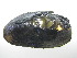  ( - EpurOch011)  @11 [ ] CreativeCommons - Attribution Non-Commercial No Derivatives (2014) Nathan A. Johnson USGS
