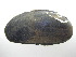  ( - EpurFli039)  @11 [ ] CreativeCommons - Attribution Non-Commercial No Derivatives (2014) Nathan A. Johnson USGS