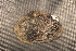  ( - MnerChi020)  @11 [ ] CreativeCommons - Attribution Non-Commercial No Derivatives (2014) Nathan A. Johnson USGS