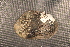  ( - MnerChi021)  @11 [ ] CreativeCommons - Attribution Non-Commercial No Derivatives (2014) Nathan A. Johnson USGS