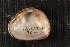 ( - QinfChi028)  @11 [ ] CreativeCommons - Attribution Non-Commercial No Derivatives (2014) Nathan A. Johnson USGS