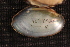  ( - VvilCho108)  @11 [ ] CreativeCommons - Attribution Non-Commercial No Derivatives (2014) Nathan A. Johnson USGS