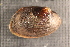  ( - UspeWit034)  @11 [ ] CreativeCommons - Attribution Non-Commercial No Derivatives (2014) Nathan A. Johnson USGS