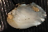  ( - MnerEsc015)  @11 [ ] CreativeCommons - Attribution Non-Commercial No Derivatives (2014) Nathan A. Johnson USGS