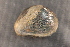  ( - QinfChi019)  @11 [ ] CreativeCommons - Attribution Non-Commercial No Derivatives (2014) Nathan A. Johnson USGS
