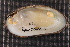  ( - EpurOch002)  @11 [ ] CreativeCommons - Attribution Non-Commercial No Derivatives (2014) Nathan A. Johnson USGS