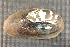  ( - EpurOch002)  @11 [ ] CreativeCommons - Attribution Non-Commercial No Derivatives (2014) Nathan A. Johnson USGS