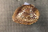  ( - FescEsc020)  @11 [ ] CreativeCommons - Attribution Non-Commercial No Derivatives (2014) Nathan A. Johnson USGS