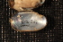  ( - TpauApa081)  @11 [ ] CreativeCommons - Attribution Non-Commercial No Derivatives (2014) Nathan A. Johnson USGS