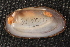  ( - EchiChi005)  @11 [ ] CreativeCommons - Attribution Non-Commercial No Derivatives (2014) Nathan A. Johnson USGS