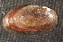  ( - EchiChi005)  @11 [ ] CreativeCommons - Attribution Non-Commercial No Derivatives (2014) Nathan A. Johnson USGS