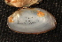  ( - EchiChi006)  @11 [ ] CreativeCommons - Attribution Non-Commercial No Derivatives (2014) Nathan A. Johnson USGS