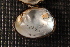  ( - QkleSuw004)  @11 [ ] CreativeCommons - Attribution Non-Commercial No Derivatives (2014) Nathan A. Johnson USGS