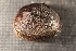  ( - QkleSuw004)  @11 [ ] CreativeCommons - Attribution Non-Commercial No Derivatives (2014) Nathan A. Johnson USGS