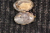  ( - TspeFli229)  @11 [ ] CreativeCommons - Attribution Non-Commercial No Derivatives (2014) Nathan A. Johnson USGS