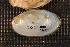  ( - VvilCho004)  @11 [ ] CreativeCommons - Attribution Non-Commercial No Derivatives (2014) Nathan A. Johnson USGS