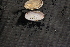  ( - EpurCho016)  @11 [ ] CreativeCommons - Attribution Non-Commercial No Derivatives (2014) Nathan A. Johnson USGS
