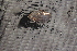  ( - EpurCho016)  @11 [ ] CreativeCommons - Attribution Non-Commercial No Derivatives (2014) Nathan A. Johnson USGS