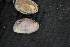  ( - EcraStm045)  @11 [ ] CreativeCommons - Attribution Non-Commercial No Derivatives (2014) Nathan A. Johnson USGS