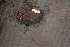  ( - EcraStm045)  @11 [ ] CreativeCommons - Attribution Non-Commercial No Derivatives (2014) Nathan A. Johnson USGS