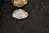 ( - EcraStm046)  @11 [ ] CreativeCommons - Attribution Non-Commercial No Derivatives (2014) Nathan A. Johnson USGS