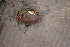  ( - EcraStm046)  @11 [ ] CreativeCommons - Attribution Non-Commercial No Derivatives (2014) Nathan A. Johnson USGS