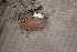  ( - EcraStm047)  @11 [ ] CreativeCommons - Attribution Non-Commercial No Derivatives (2014) Nathan A. Johnson USGS
