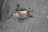  ( - EbucCal107)  @11 [ ] CreativeCommons - Attribution Non-Commercial No Derivatives (2014) Nathan A. Johnson USGS
