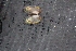  ( - EbucCal110)  @11 [ ] CreativeCommons - Attribution Non-Commercial No Derivatives (2014) Nathan A. Johnson USGS