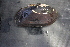  ( - EcraApa013)  @11 [ ] CreativeCommons - Attribution Non-Commercial No Derivatives (2014) Nathan A. Johnson USGS
