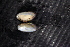  ( - EnigFli053)  @11 [ ] CreativeCommons - Attribution Non-Commercial No Derivatives (2014) Nathan A. Johnson USGS