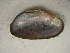  ( - EnigFli036)  @11 [ ] CreativeCommons - Attribution Non-Commercial No Derivatives (2014) Nathan A. Johnson USGS