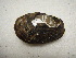  ( - TspeCho005)  @11 [ ] Unspecified (default): All Rights Reserved  Unspecified Unspecified