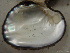  ( - AneiApa007)  @11 [ ] Unspecified (default): All Rights Reserved  Unspecified Unspecified