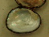  ( - AneiApa018)  @11 [ ] Unspecified (default): All Rights Reserved  Unspecified Unspecified