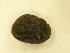  ( - AneiApa021)  @11 [ ] Unspecified (default): All Rights Reserved  Unspecified Unspecified