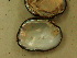  ( - AneiApa023)  @11 [ ] Unspecified (default): All Rights Reserved  Unspecified Unspecified