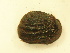  ( - AneiApa023)  @11 [ ] Unspecified (default): All Rights Reserved  Unspecified Unspecified