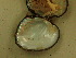  ( - AneiApa024)  @11 [ ] Unspecified (default): All Rights Reserved  Unspecified Unspecified