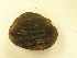  ( - AneiApa024)  @11 [ ] Unspecified (default): All Rights Reserved  Unspecified Unspecified