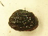  ( - AneiApa025)  @11 [ ] Unspecified (default): All Rights Reserved  Unspecified Unspecified