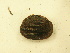  ( - AneiApa028)  @11 [ ] Unspecified (default): All Rights Reserved  Unspecified Unspecified