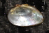  ( - UspeChi062)  @11 [ ] CreativeCommons - Attribution Non-Commercial No Derivatives (2017) Nathan A. Johnson USGS