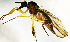  ( - BI5E)  @13 [ ] CreativeCommons  Attribution (by) (2019) Emma Wahlberg Swedish Museum of Natural History